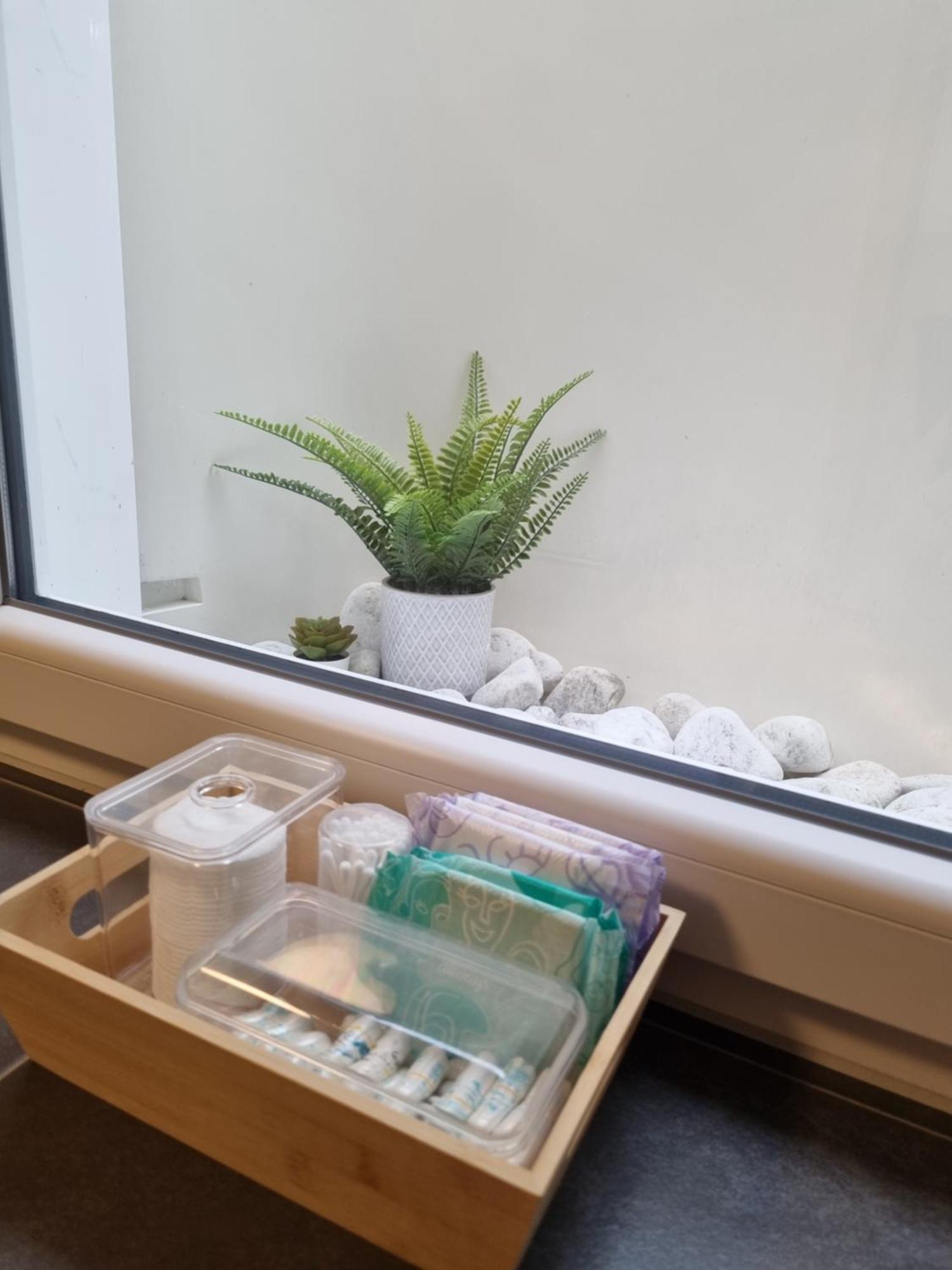 פריילאסינג Appartment Im Untergeschoss מראה חיצוני תמונה
